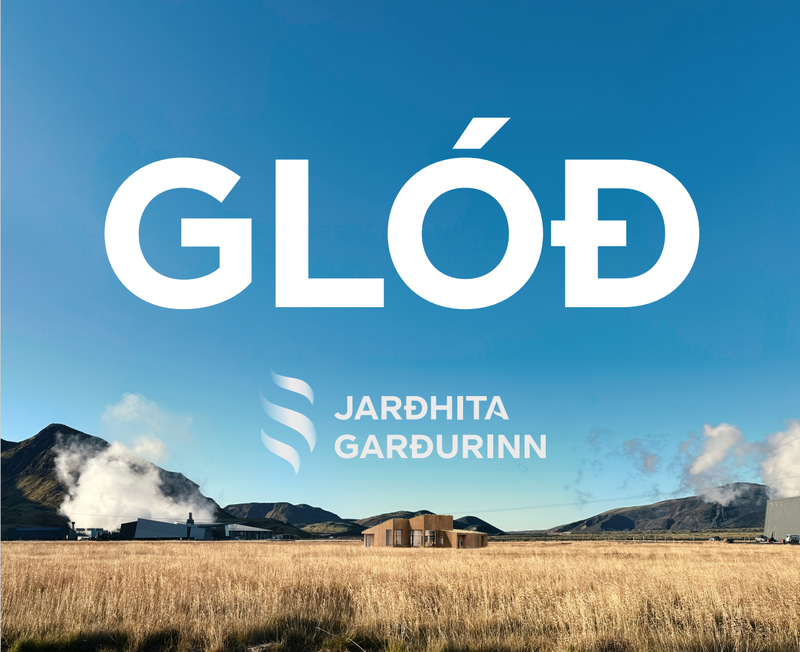 Skjámynd 2025-11-28 123755