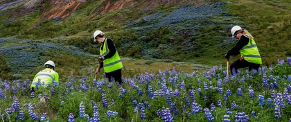 Sumarstarfsfólk í landgræðslu 2019
